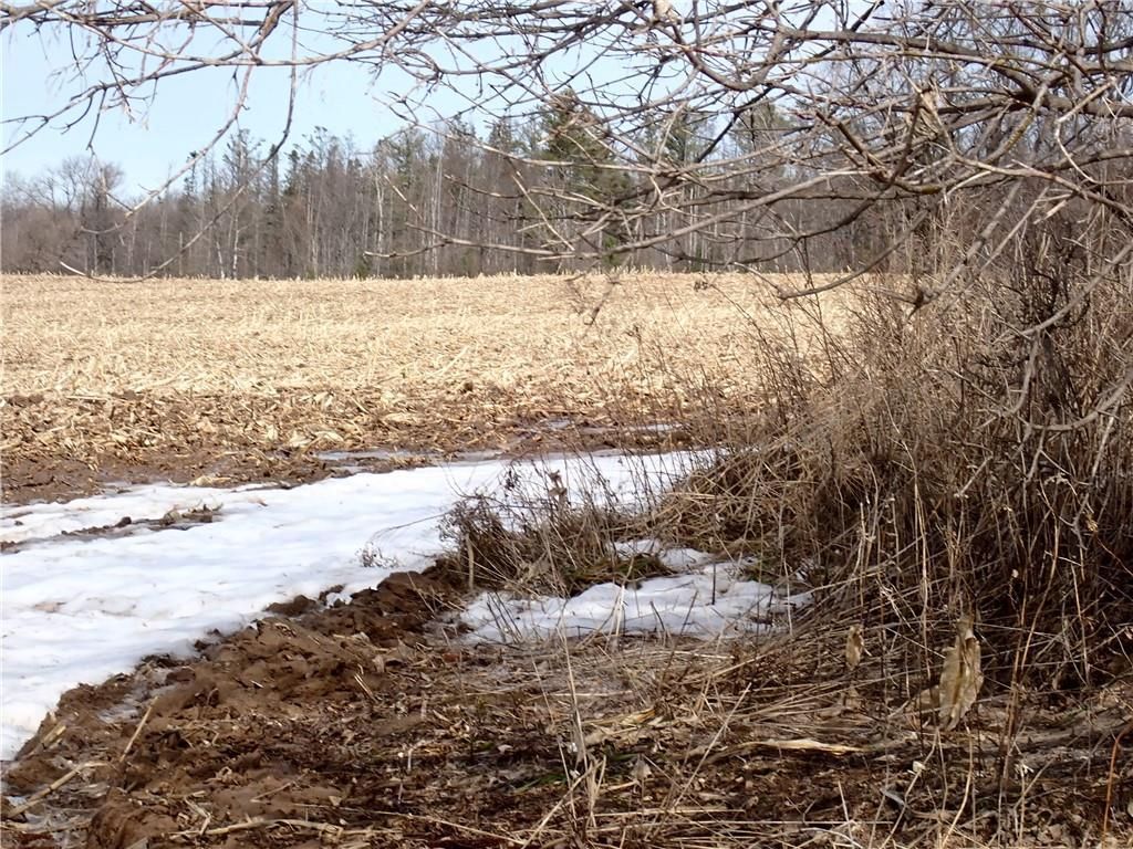 Photo of 000 Rudy ROAD, Jim Falls, WI 54748 (MLS # 1598986)