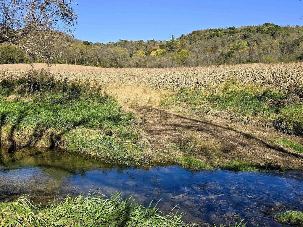 Photo of 196+/- acres Highway 171, Gays Mills, WI 54631 (MLS # 2034433)