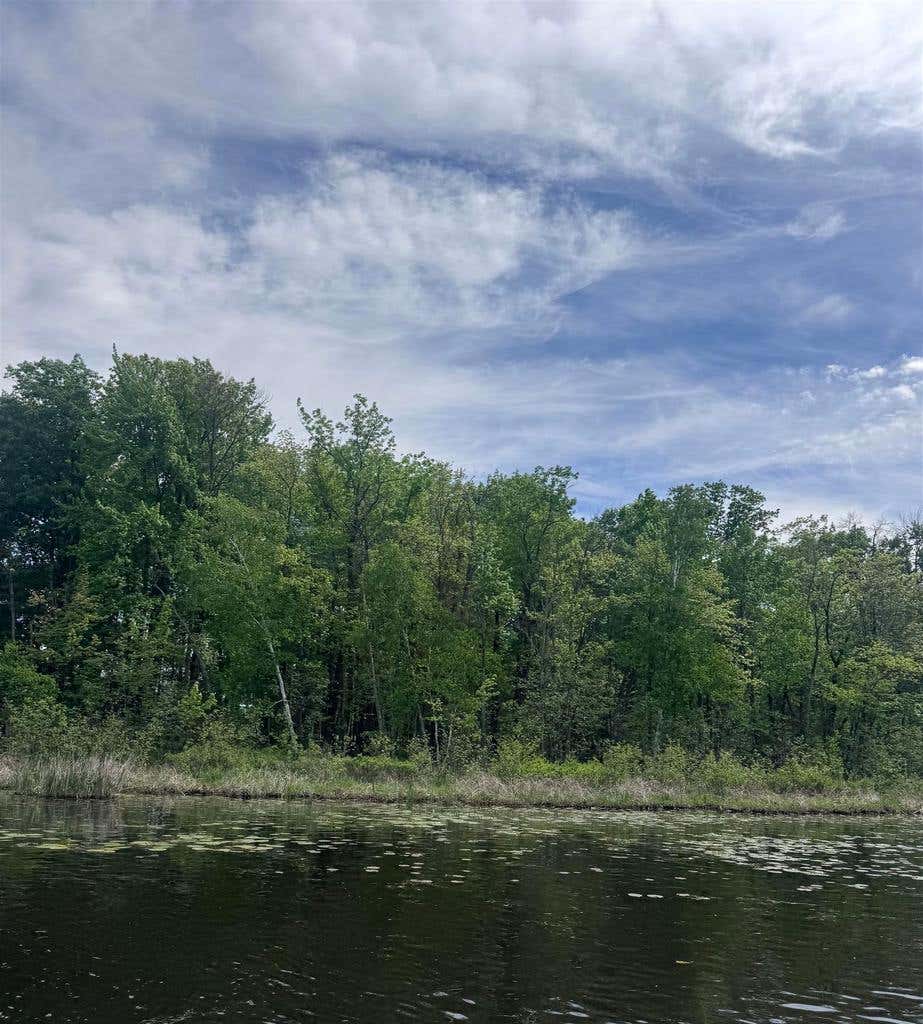 Photo of 301 Channel TRCE, Shawano, WI 54166 (MLS # 50328039)