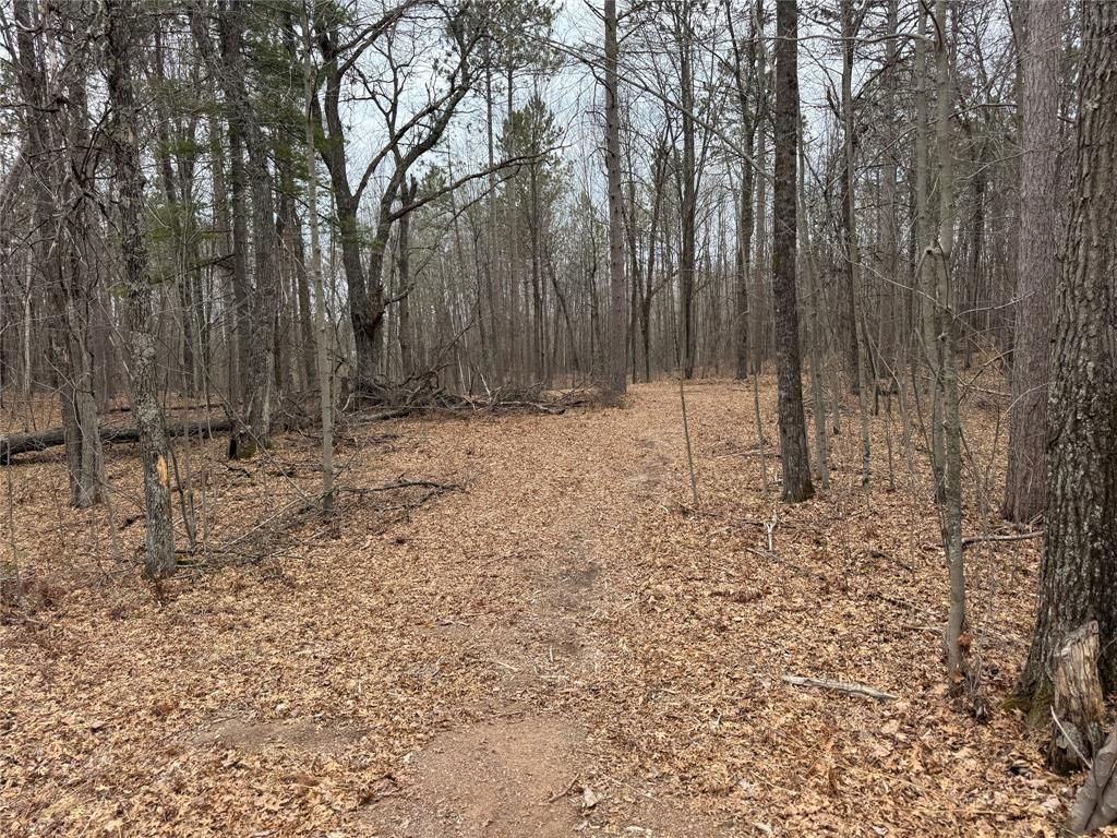 Photo of 27846 290th AVENUE, Holcombe, WI 54745 (MLS # 1599939)