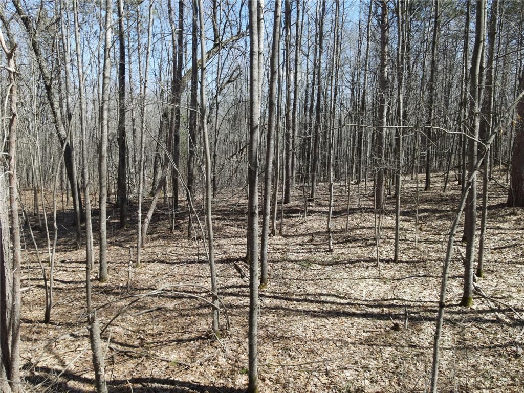 Photo of 27846 290th AVENUE, Holcombe, WI 54745 (MLS # 1599939)