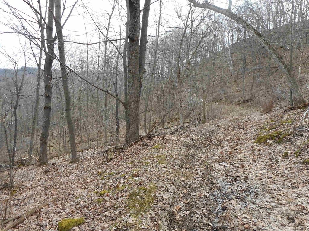 Photo of 24503 Livingston ROAD, Wilton, WI 54670 (MLS # 2019253)