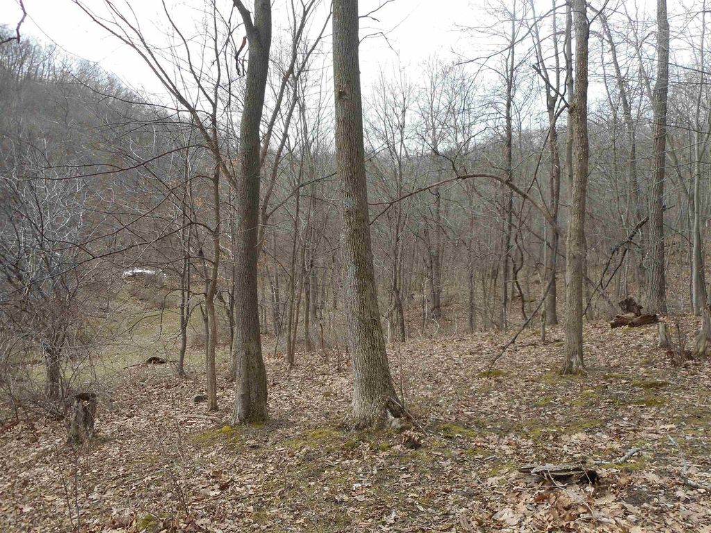 Photo of 24503 Livingston ROAD, Wilton, WI 54670 (MLS # 2019253)