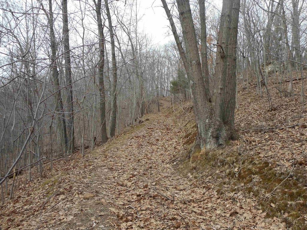 Photo of 24503 Livingston ROAD, Wilton, WI 54670 (MLS # 2019253)