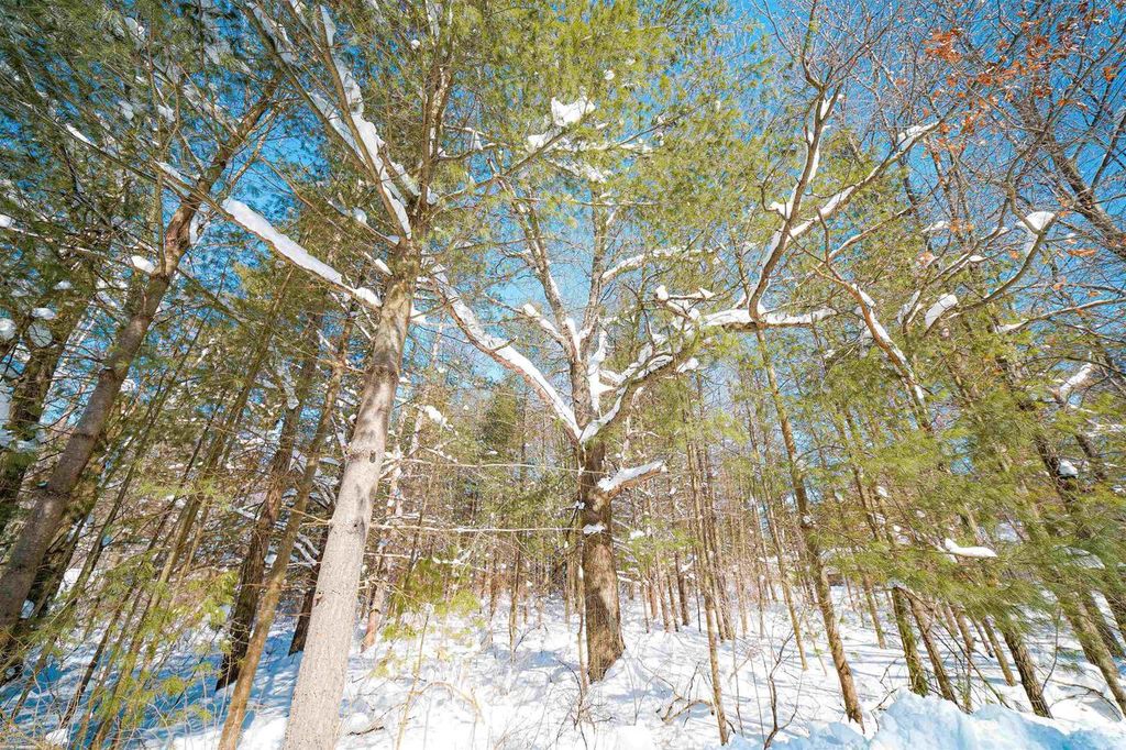Photo of Lot 9 Center ROAD, Merrill, WI 54452 (MLS # 22601082)