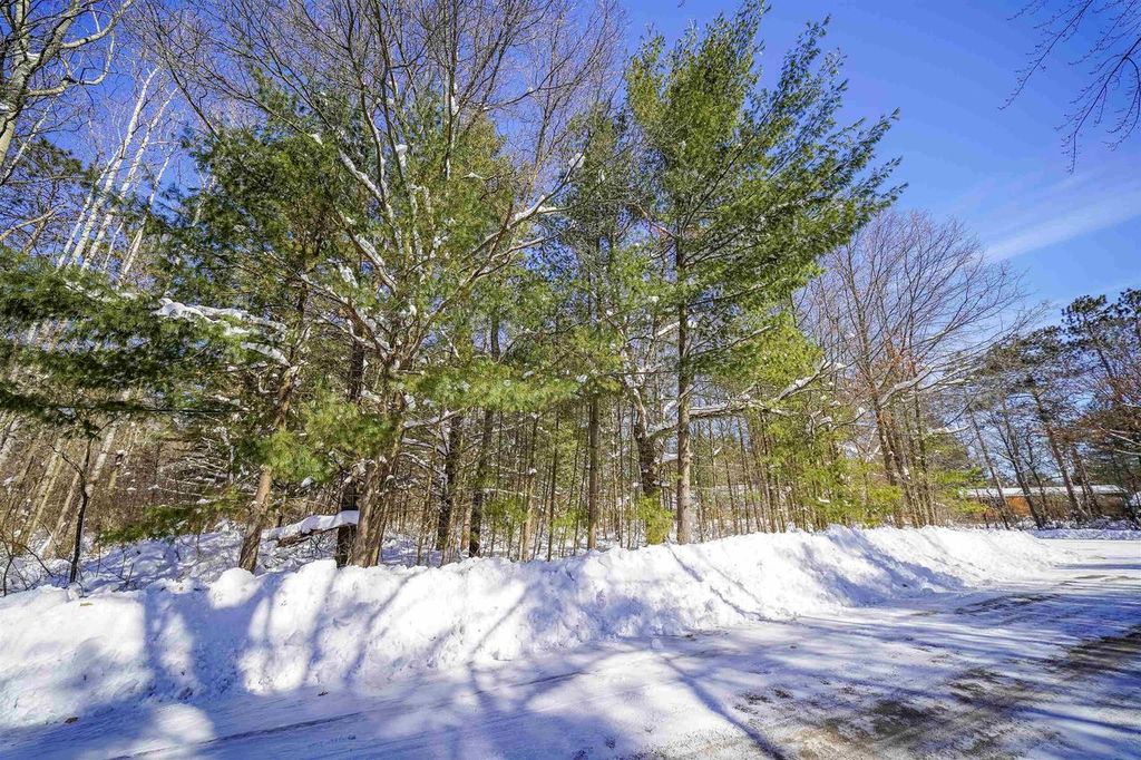 Photo of Lot 9 Center ROAD, Merrill, WI 54452 (MLS # 22601082)