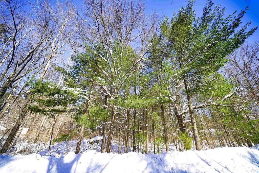 Photo of Lot 9 Center ROAD, Merrill, WI 54452 (MLS # 22601082)