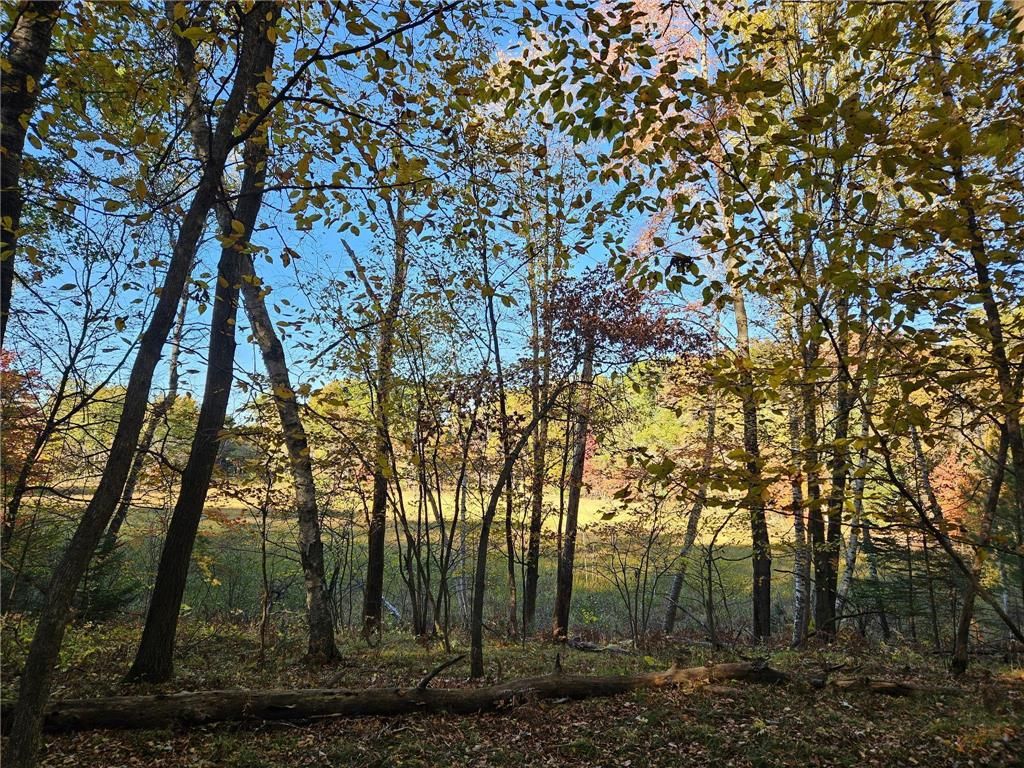 Photo of 1 Lincoln AVENUE, Amery, WI 54001 (MLS # 7012296)