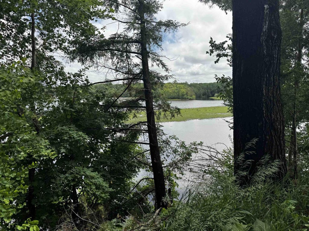 Photo of W11261 County Road D, WI 54950 (MLS # 22602963)