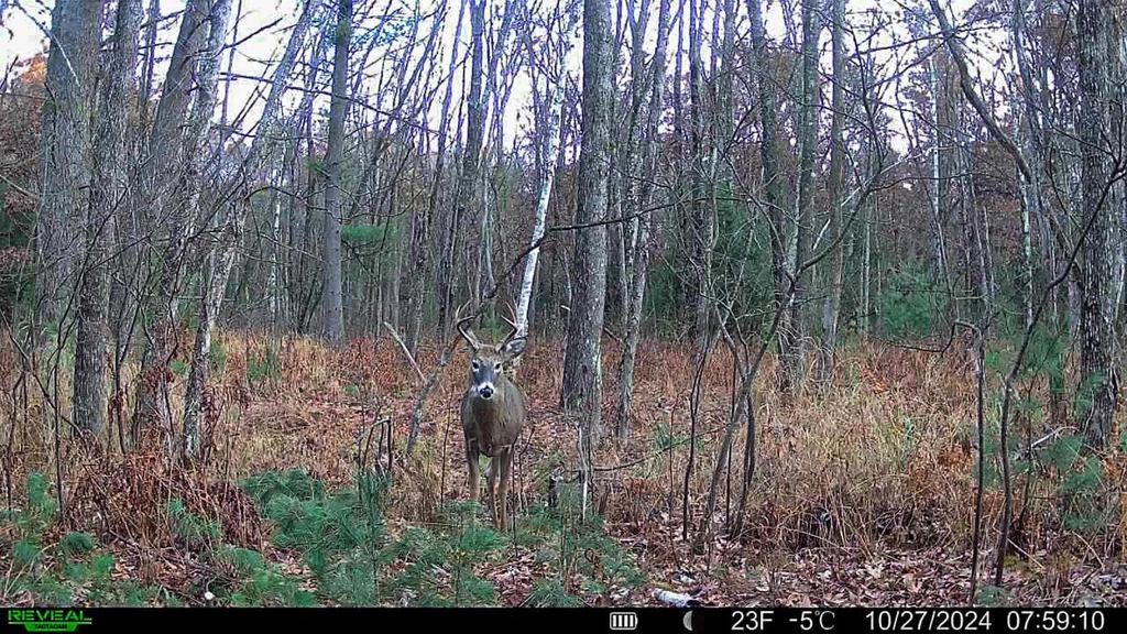 Photo of 0000 Badger DRIVE, Hancock, WI 54943 (MLS # 2021294)