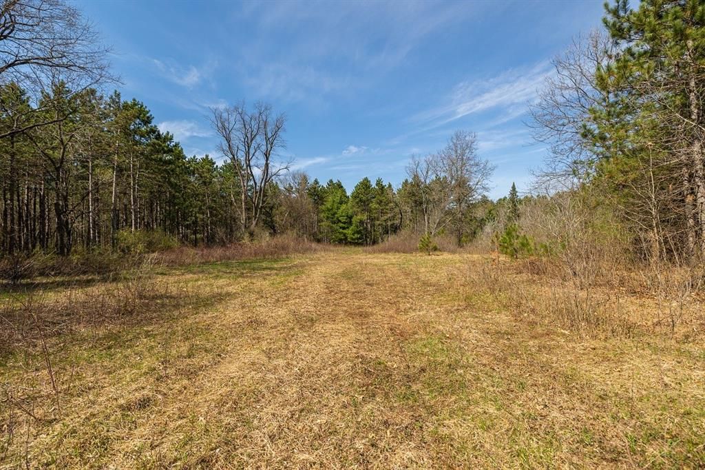 Photo of 0 Prairie ROAD, Osseo, WI 54758 (MLS # 1600337)