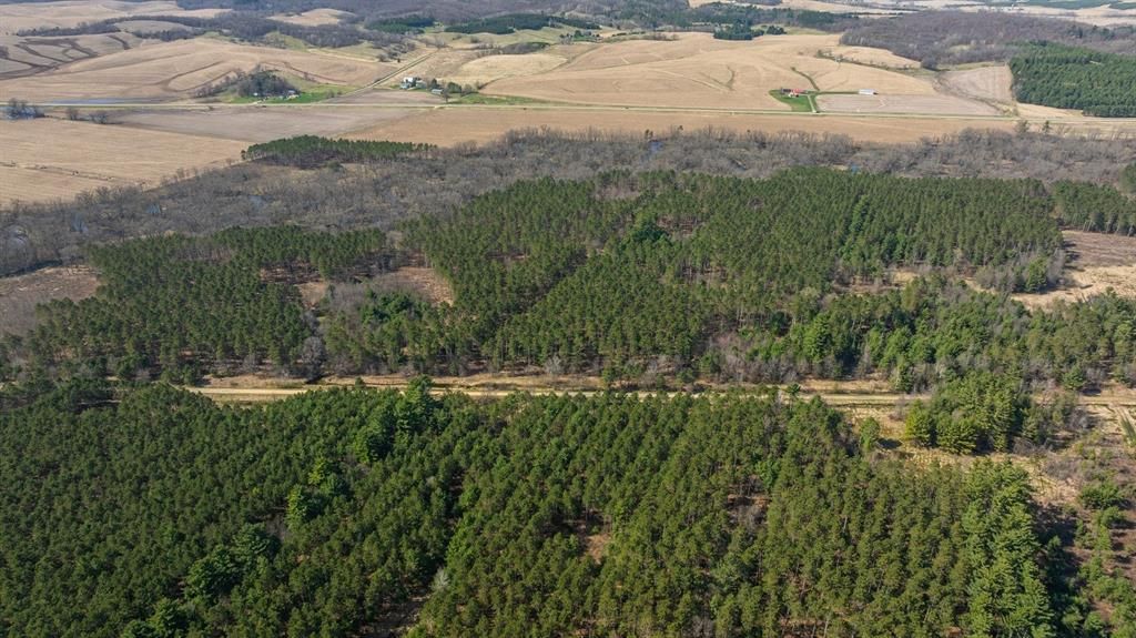 Photo of 0 Prairie ROAD, Osseo, WI 54758 (MLS # 1600337)