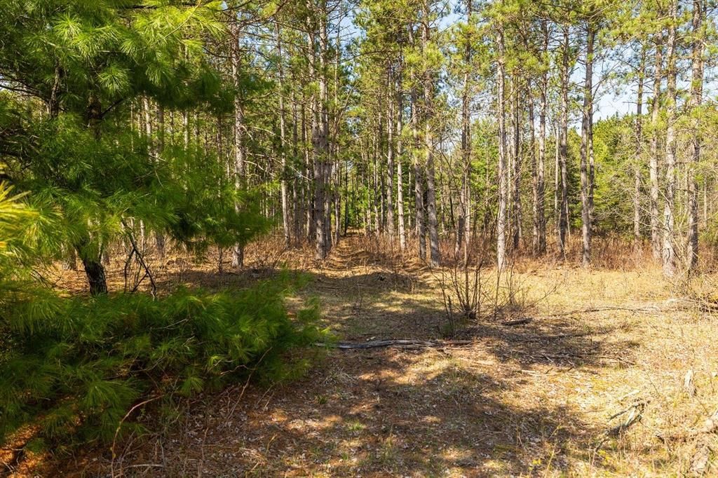 Photo of 0 Prairie ROAD, Osseo, WI 54758 (MLS # 1600337)