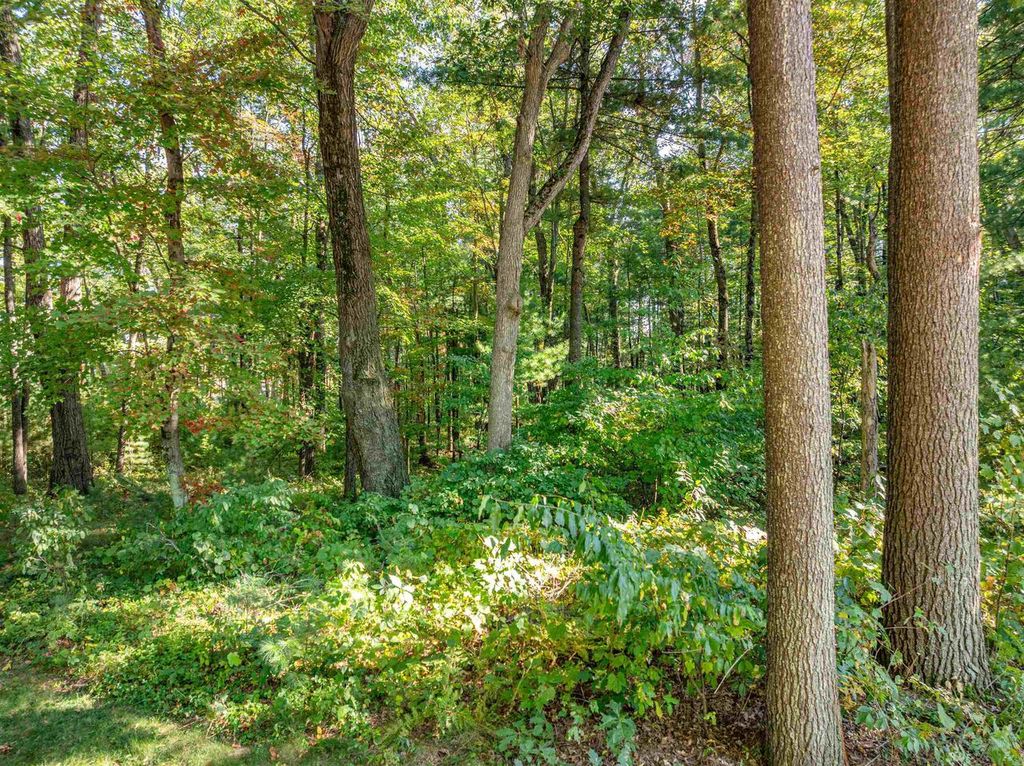 Photo of 199 Cliffside DRIVE, Wisconsin Dells, WI 53965 (MLS # 2008760)