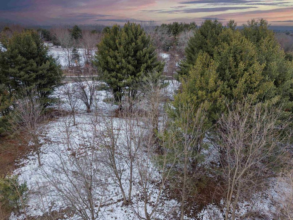 Photo of L2 S Grouse LANE, Wisconsin Dells, WI 53965 (MLS # 2016571)