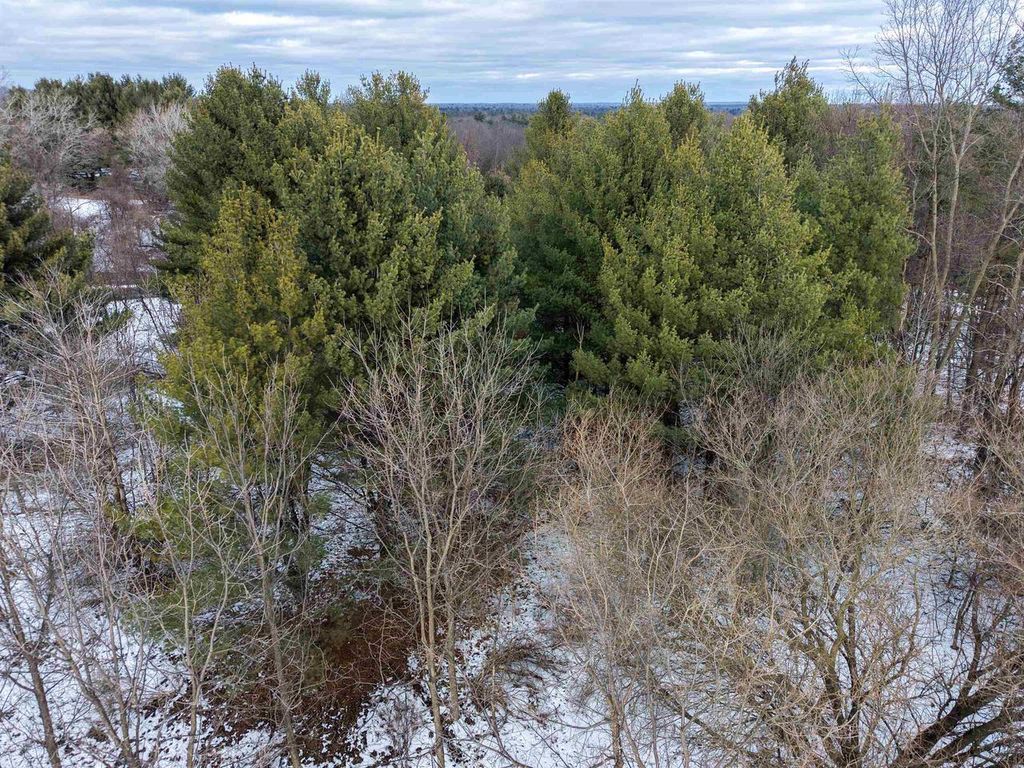 Photo of L2 S Grouse LANE, Wisconsin Dells, WI 53965 (MLS # 2016571)