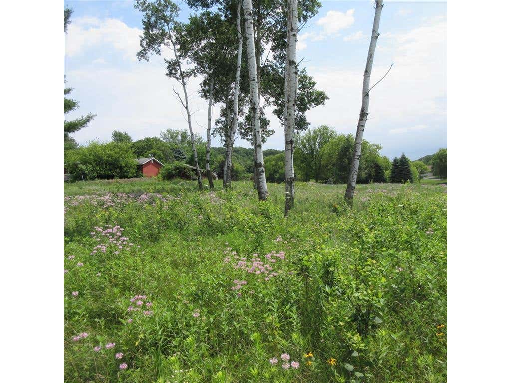 Photo of Lot 12 516th Street, Menomonie, WI 54751 (MLS # 7113393)