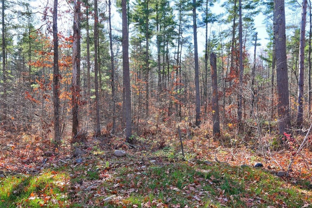 Photo of 11289N Orion ROAD, Hayward, WI 54843 (MLS # 1606231)