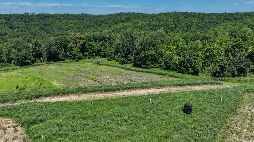 Photo of 77.85 AC Pine AVENUE, Hillsboro, WI 54634 (MLS # 2027621)
