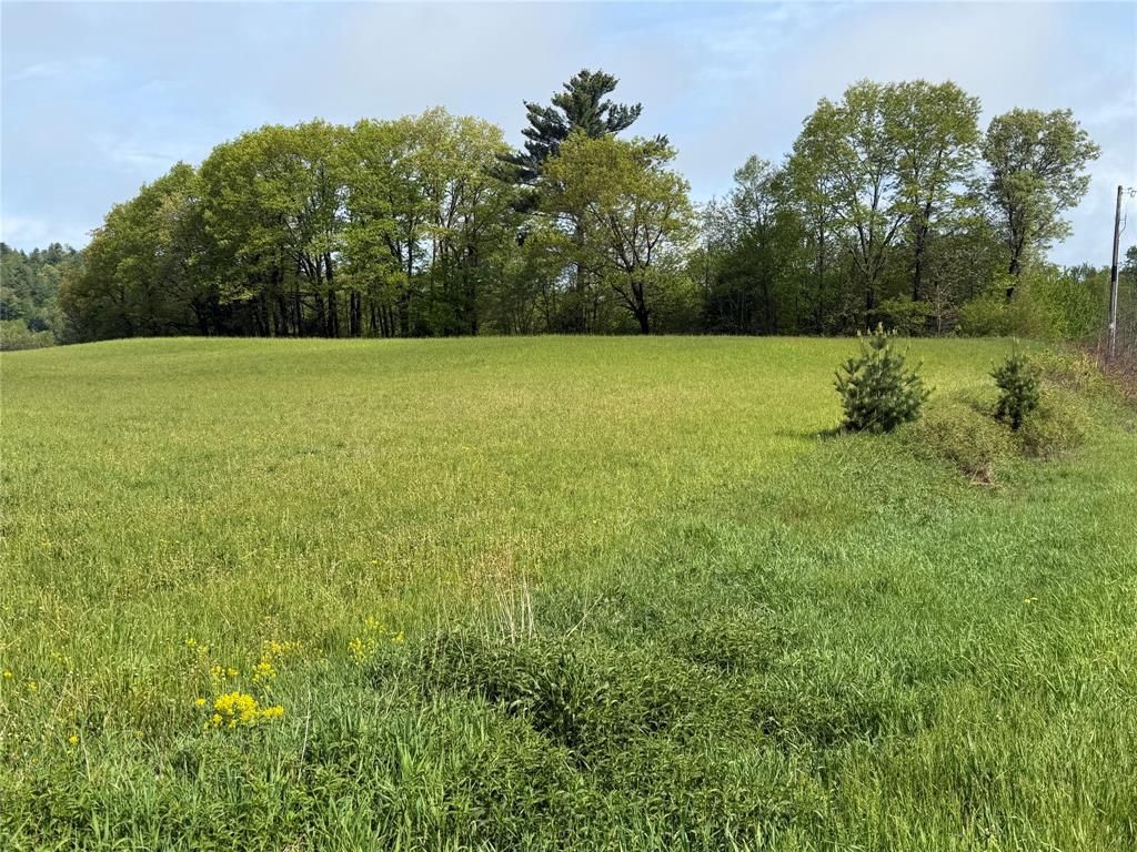 Photo of Lot 1 Carol ROAD, Merrillan, WI 54754 (MLS # 1601058)