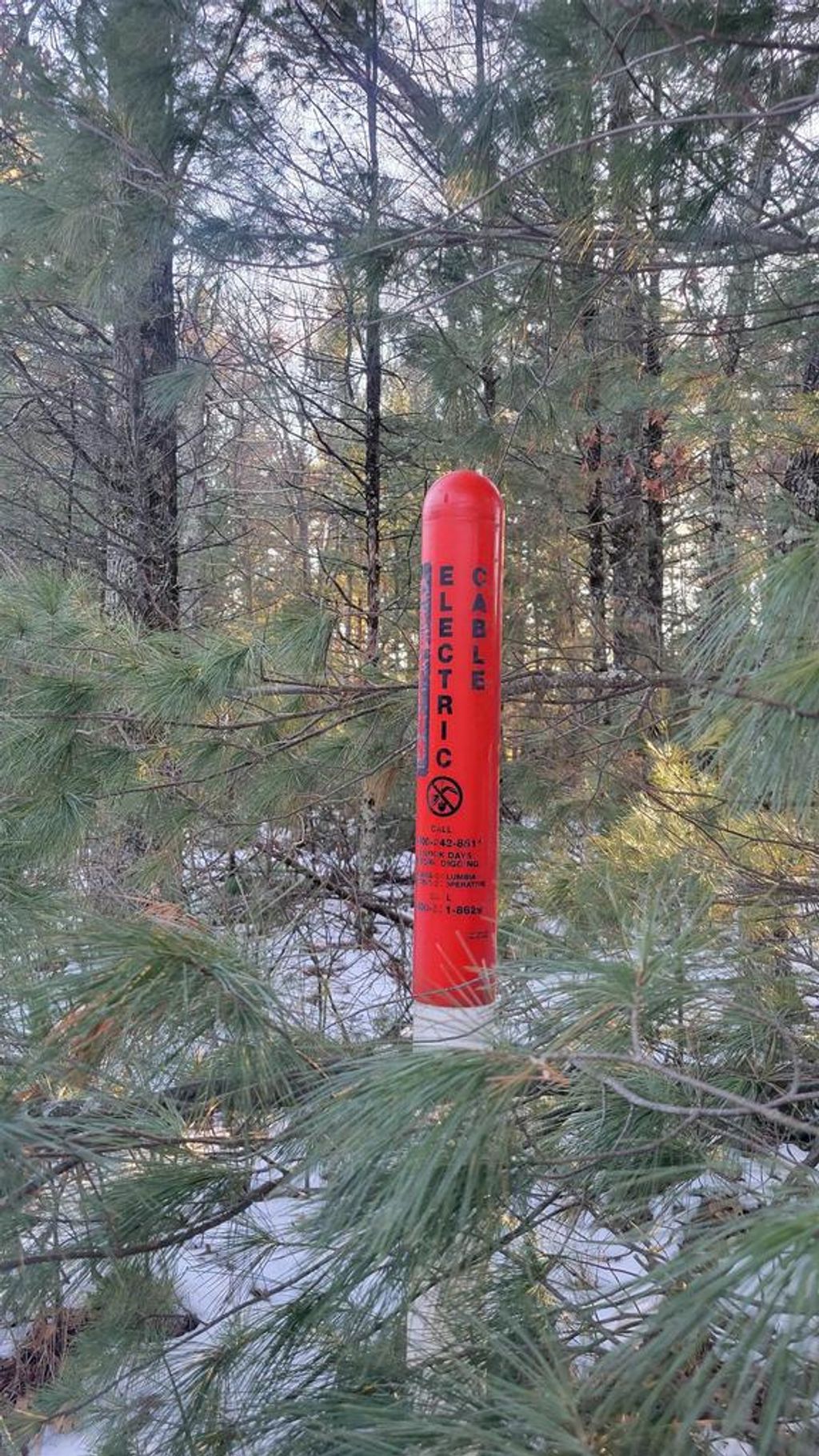 Photo of Lot 16 19th PASS, Arkdale, WI 54613 (MLS # 2014827)