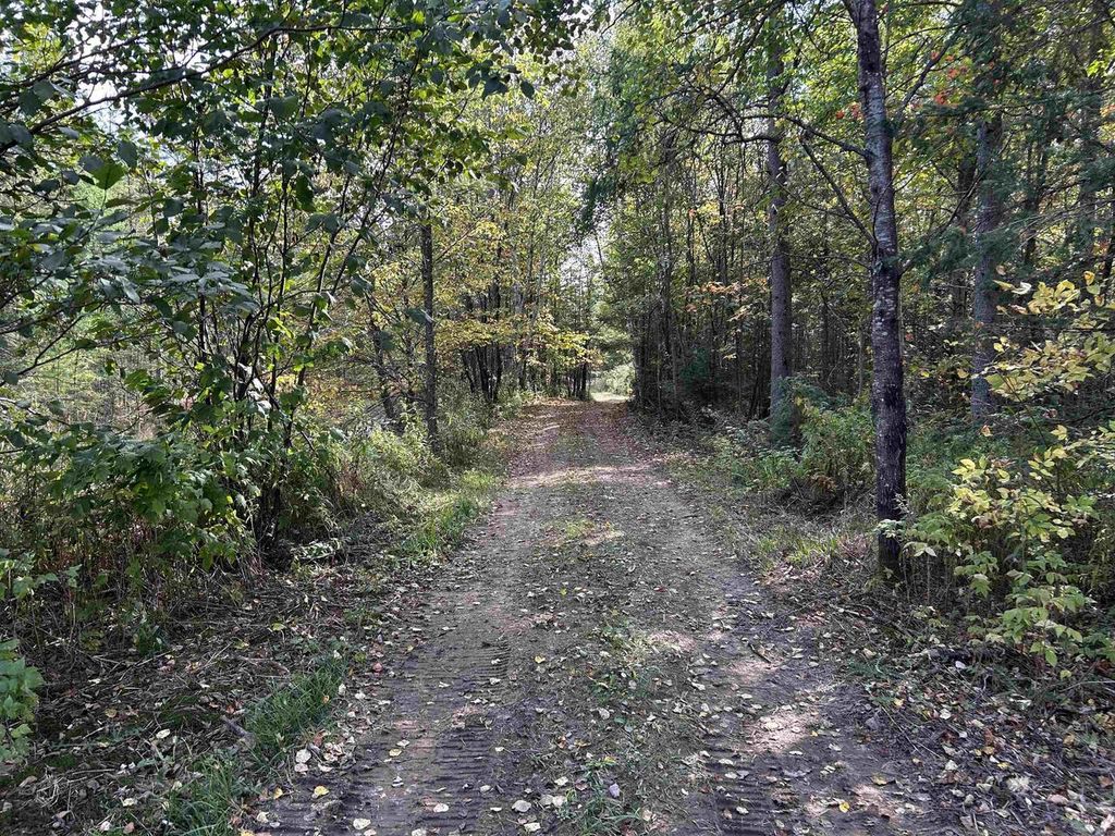 Photo of W13821 Lloyd Creek ROAD, Gleason, WI 54435 (MLS # 50320892)