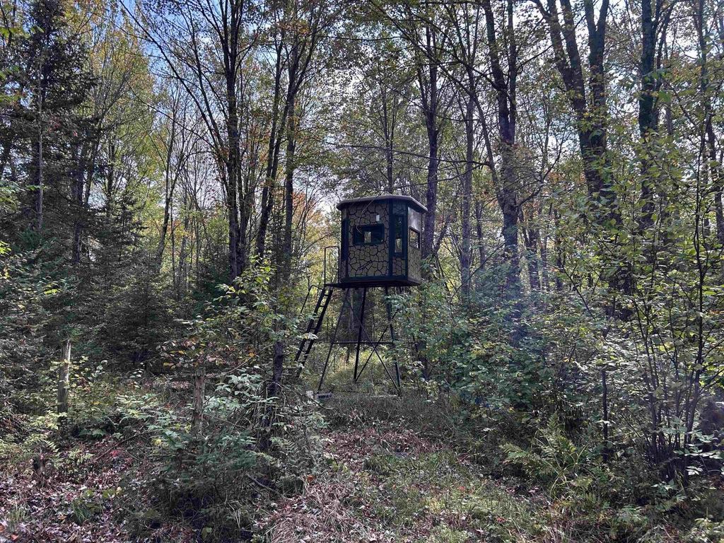 Photo of W13821 Lloyd Creek ROAD, Gleason, WI 54435 (MLS # 50320892)