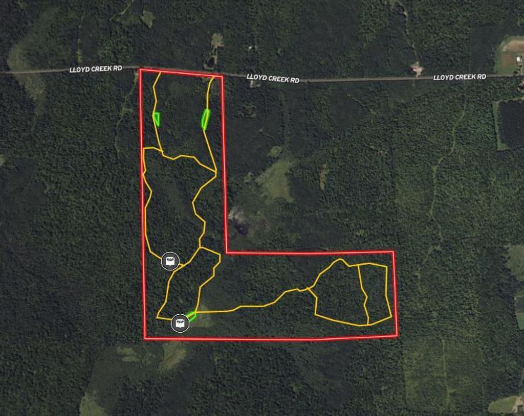 Photo of W13821 Lloyd Creek ROAD, Gleason, WI 54435 (MLS # 50320892)