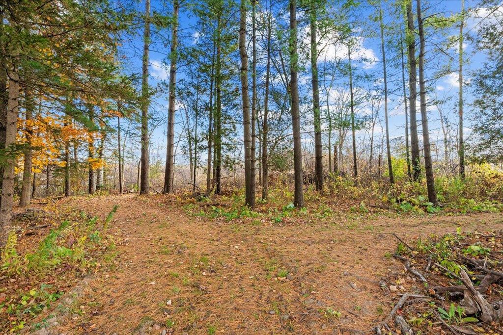 Photo of W5197 Green Tree ROAD, Plymouth, WI 53073 (MLS # 1942440)