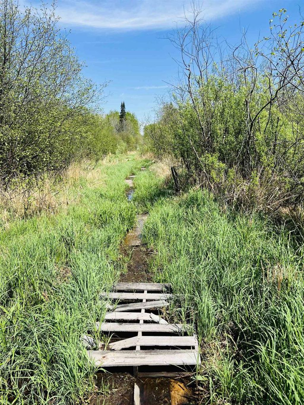 Photo of Zink AVENUE, Greenwood, WI 54470 (MLS # 2005033)