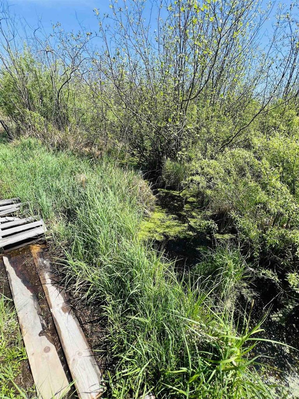 Photo of Zink AVENUE, Greenwood, WI 54470 (MLS # 2005033)