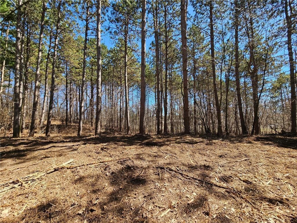 Photo of Lot 8 County Road C, Somerset, WI 54025 (MLS # 7056515)
