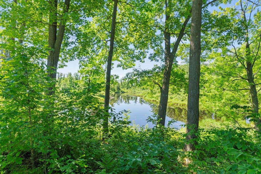 Photo of XXX 220th AVENUE, Comstock, WI 54829 (MLS # 1602588)