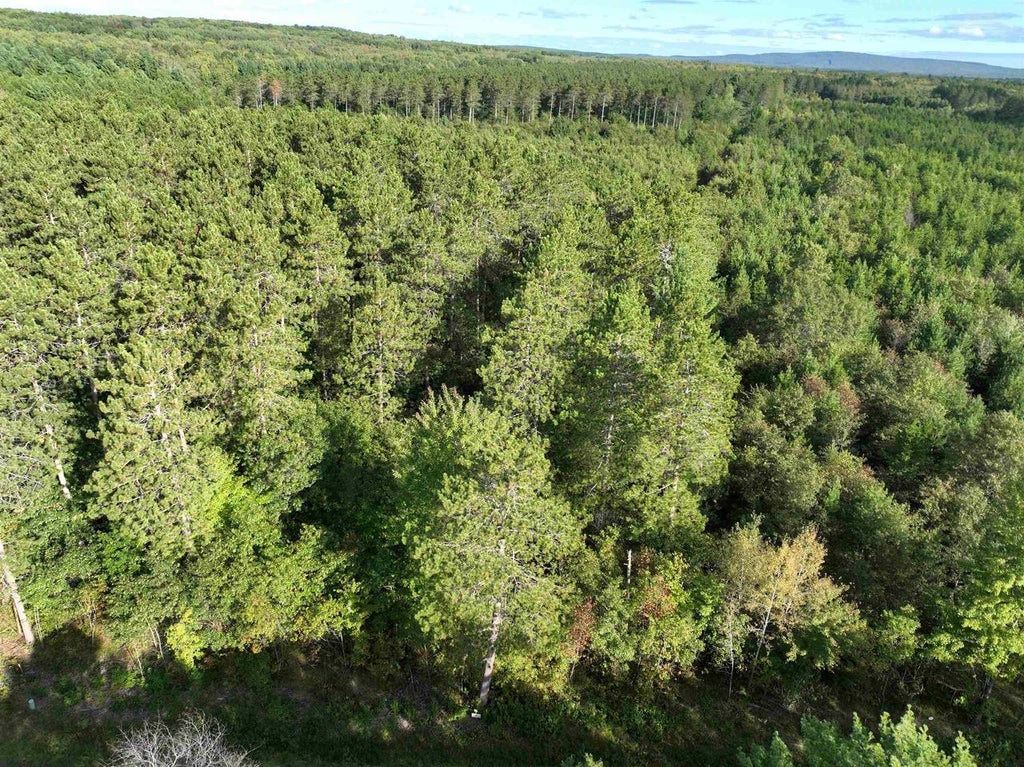 Photo of Lot 4 Scout ROAD, Mosinee, WI 54455 (MLS # 22604735)