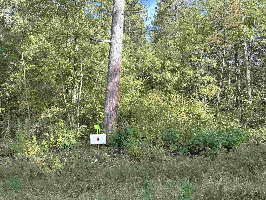 Photo of Lot 4 Scout ROAD, Mosinee, WI 54455 (MLS # 22604735)