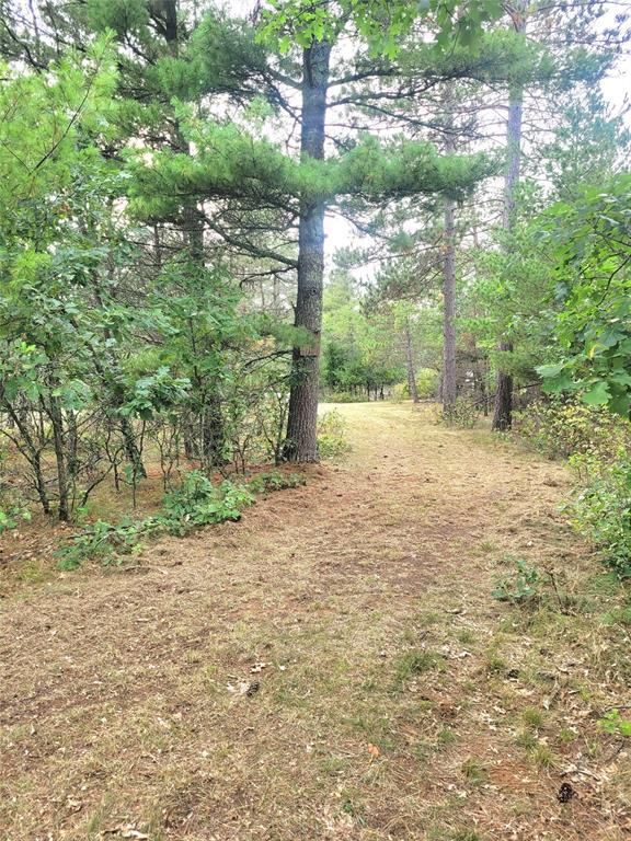 Photo of 0 Blueberry Rd, Gordon, WI 54838 (MLS # 1604990)