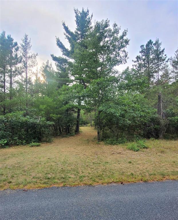 Photo of 0 Blueberry Rd, Gordon, WI 54838 (MLS # 1604990)