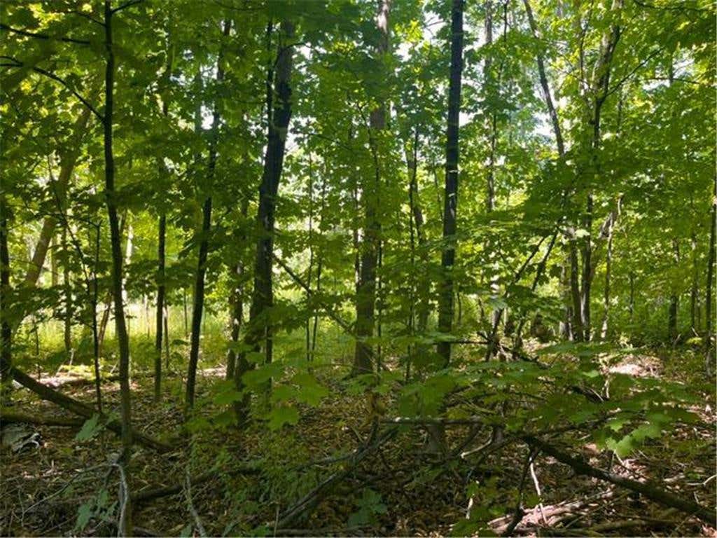 Photo of Lot 3 60th AVENUE, Woodville, WI 54028 (MLS # 7123782)