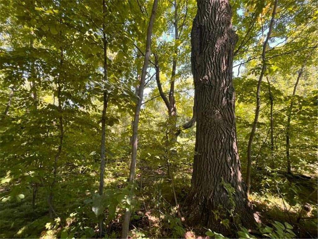 Photo of Lot 3 60th AVENUE, Woodville, WI 54028 (MLS # 7123782)
