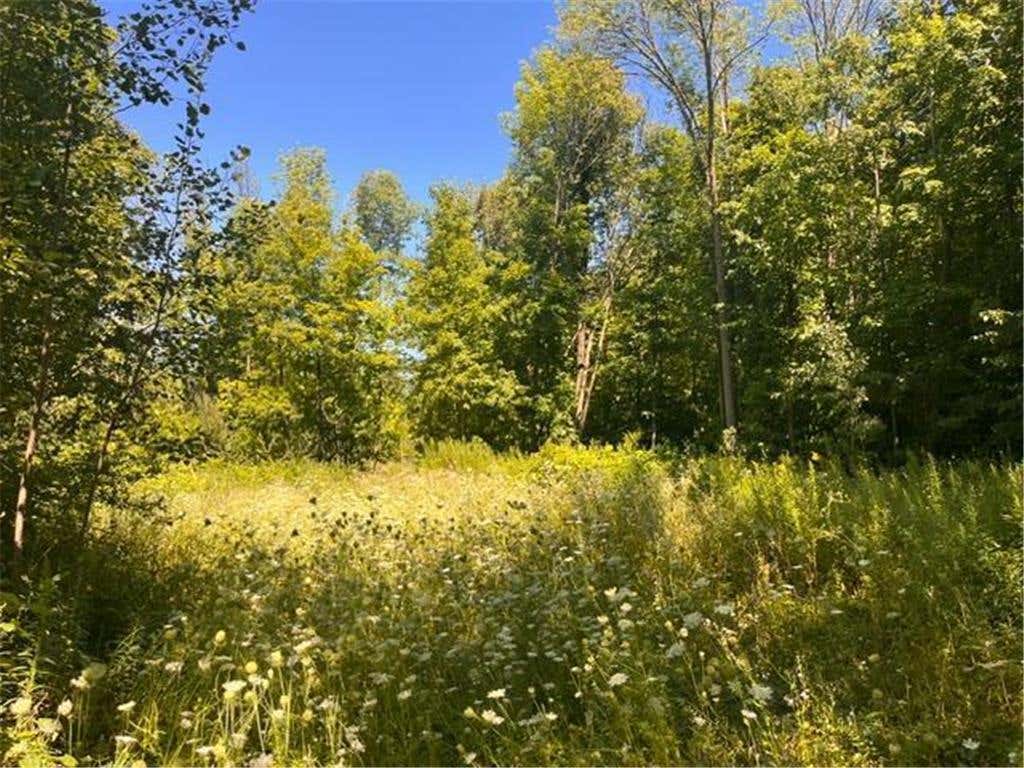 Photo of Lot 3 60th AVENUE, Woodville, WI 54028 (MLS # 7123782)