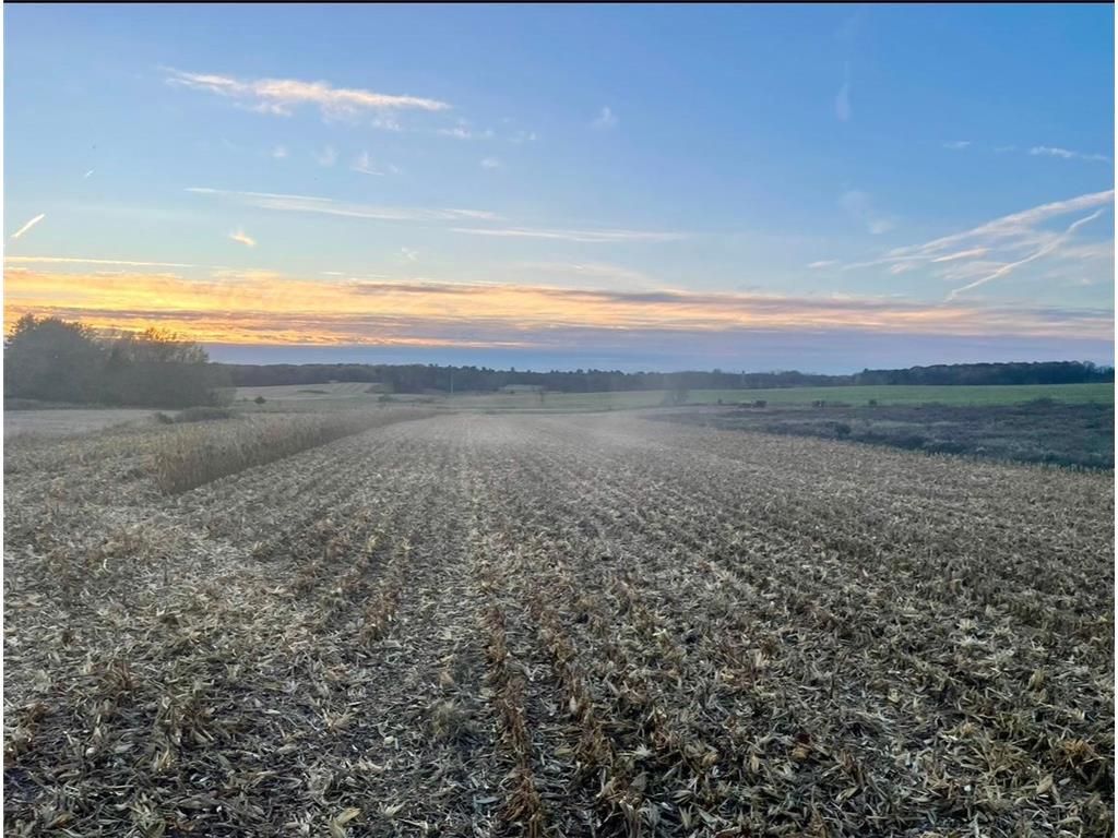 Photo of TBD 85th STREET, Clear Lake, WI 54005 (MLS # 6826233)