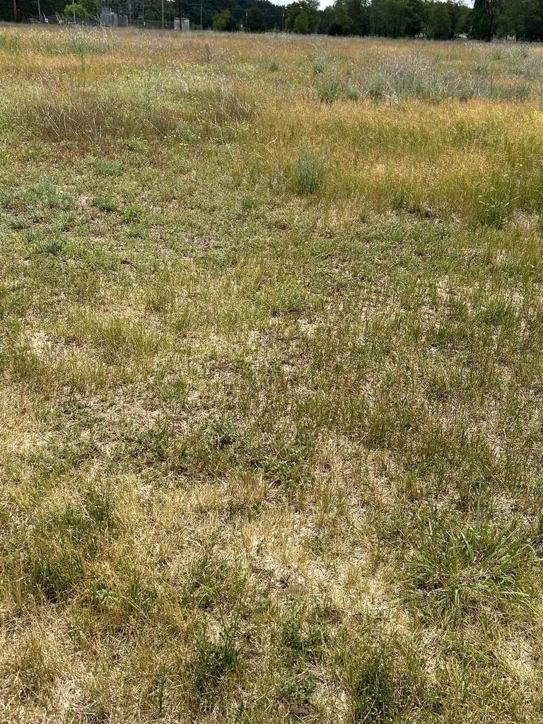 Photo of 16990 Impact ROAD, Sparta, WI 54656 (MLS # 2025248)