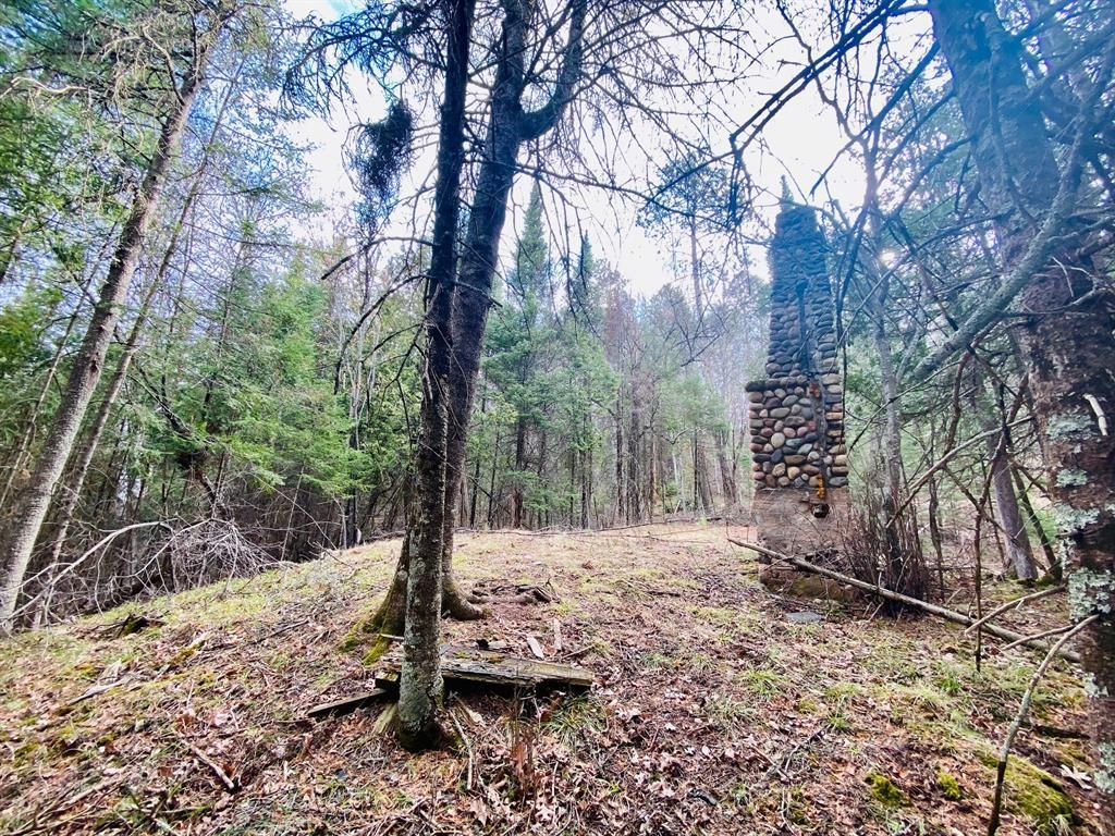 Photo of 11171 S Engstad ROAD, Solon Springs, WI 54873 (MLS # 1600391)