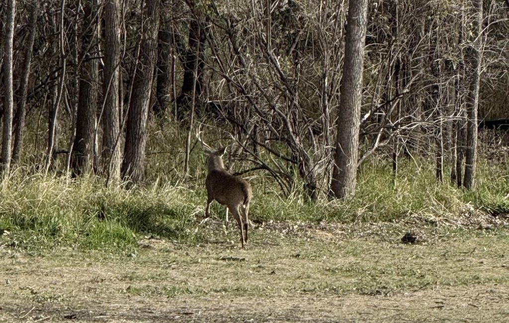 Photo of 40 AC County Road U, Portage, WI 53901 (MLS # 2014504)