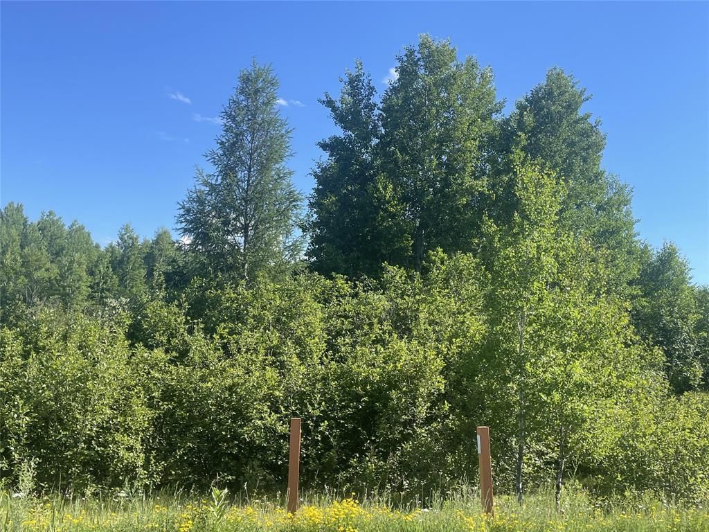 Photo of 39+/- A on County Hwy E, Iron Belt, WI 54536 (MLS # 1602959)