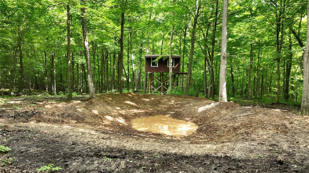 Photo of XX County Rd Q, Downing, WI 54734 (MLS # 1602322)