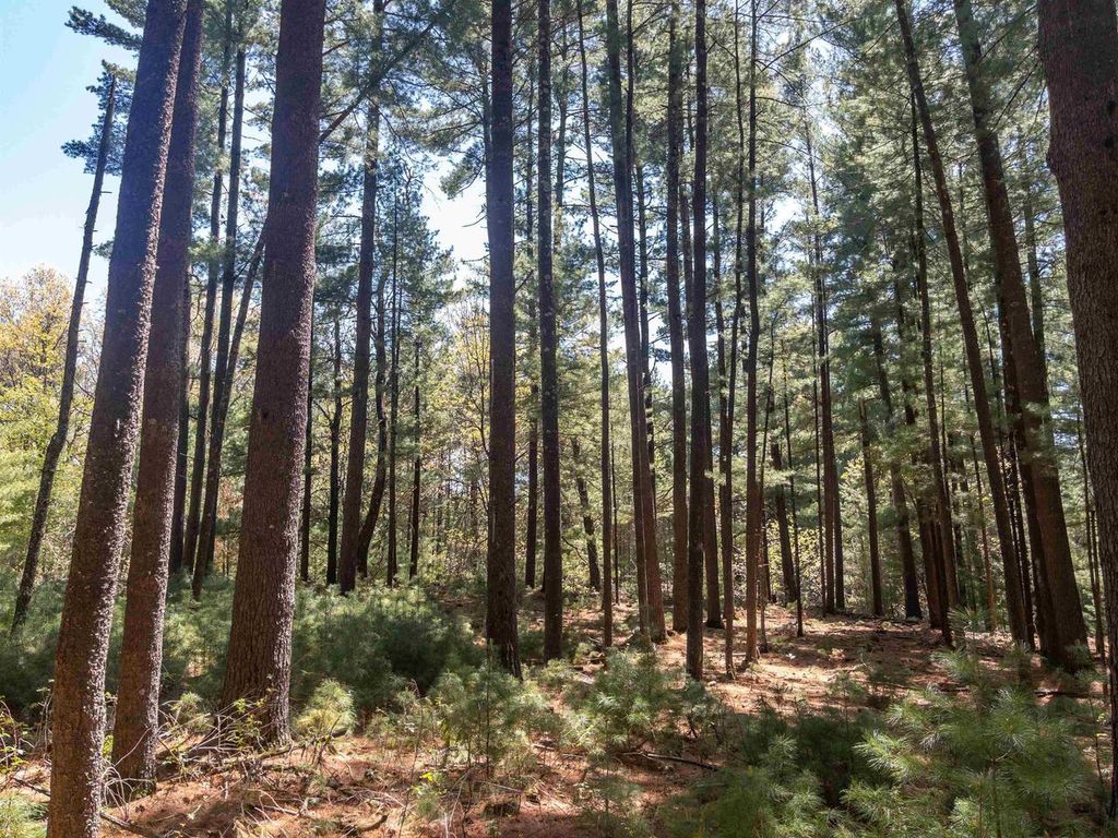 Photo of 3.2 AC Fern AVENUE, Oxford, WI 53952 (MLS # 2023441)