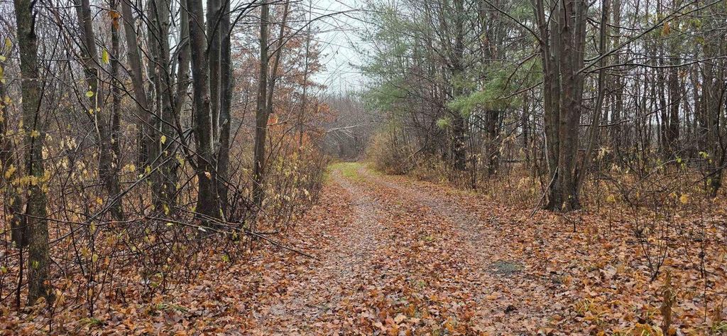 Photo of N County Road Ww, Merrill, WI 54452 (MLS # 50318846)