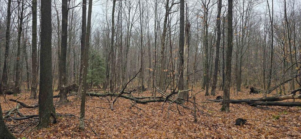 Photo of N County Road Ww, Merrill, WI 54452 (MLS # 50318846)