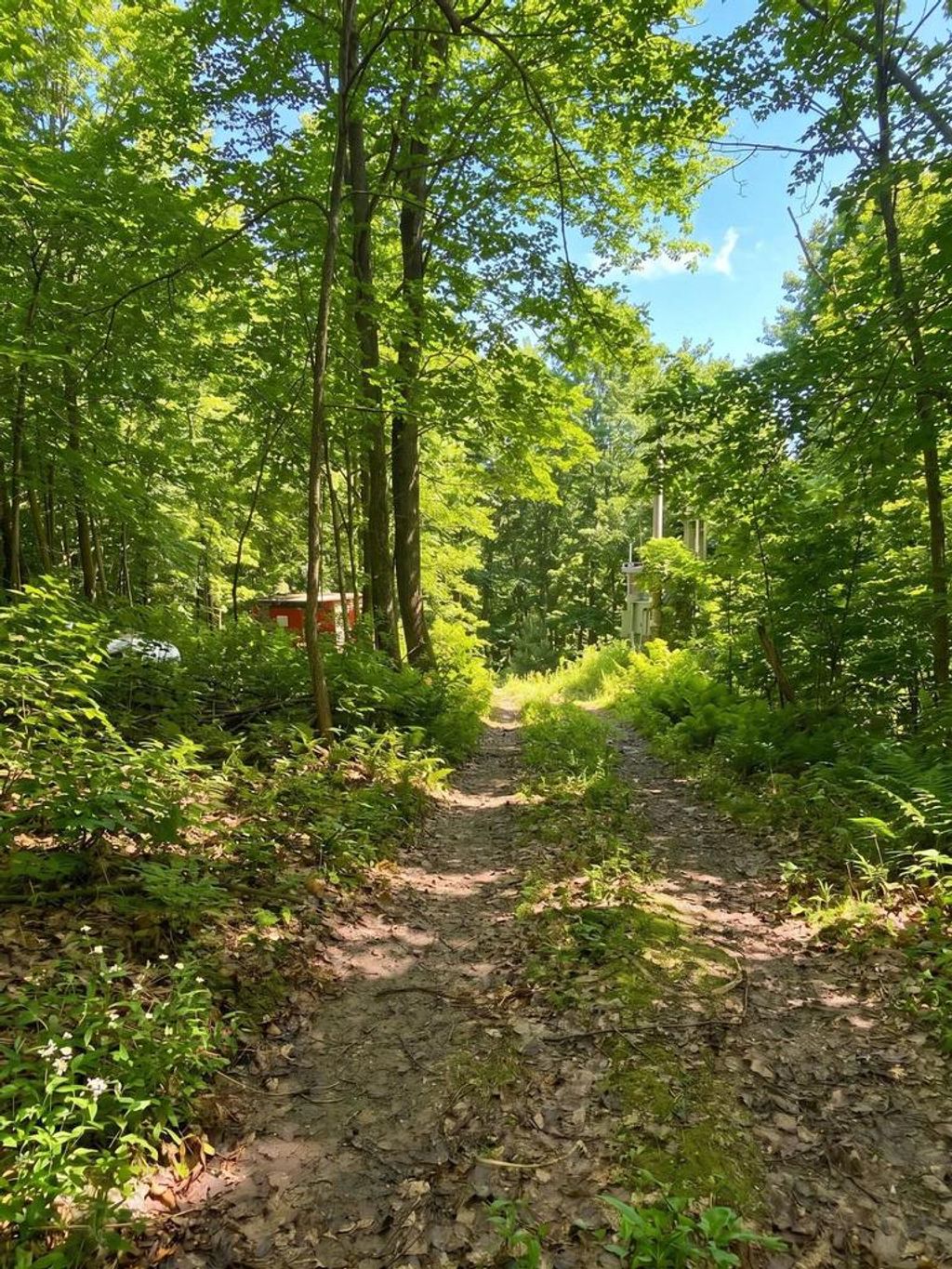 Photo of E5894 Jore ROAD, Westby, WI 54667 (MLS # 2021139)